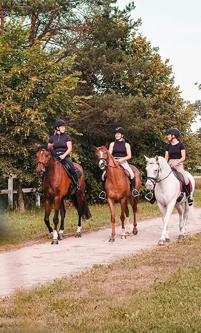 Team of riders on a trail